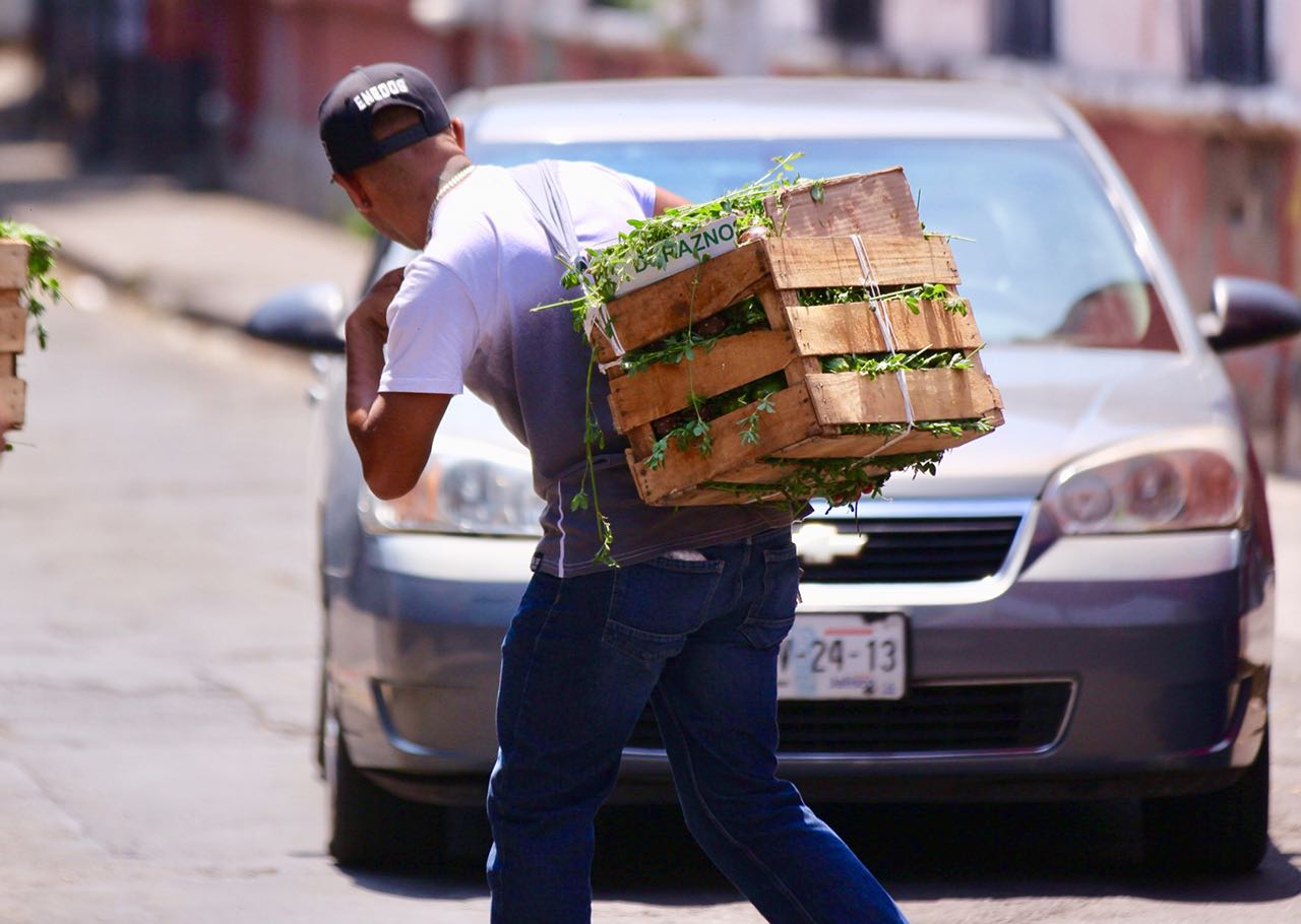 Esta temporada produce cientos de trabajos