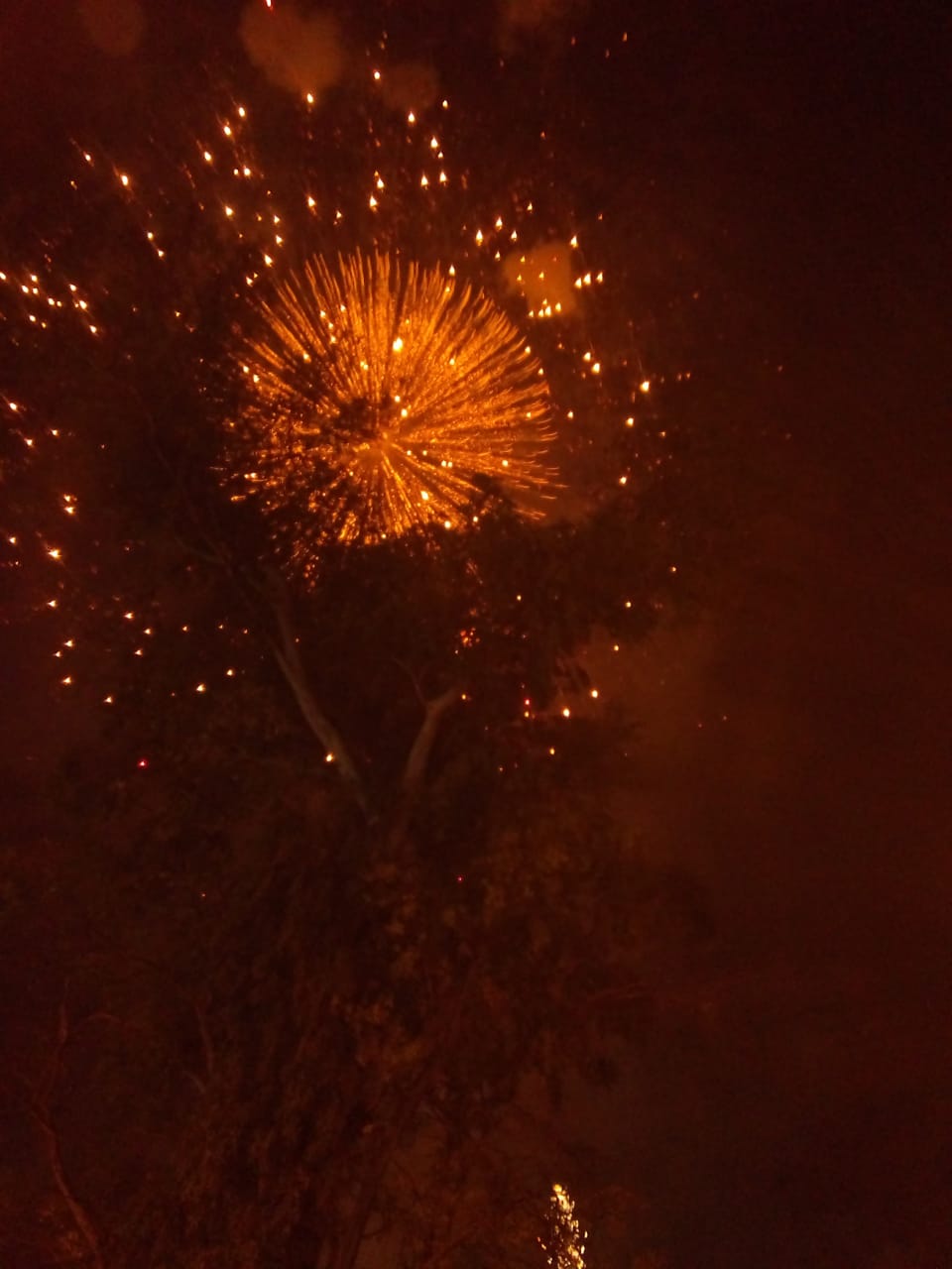 "Si gustas ofrendarle a nuestro patrón con fuegos artificiales por favor apoya".