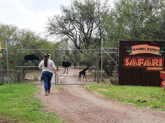 Safari del Zoo León. Foto: Dany Béjar