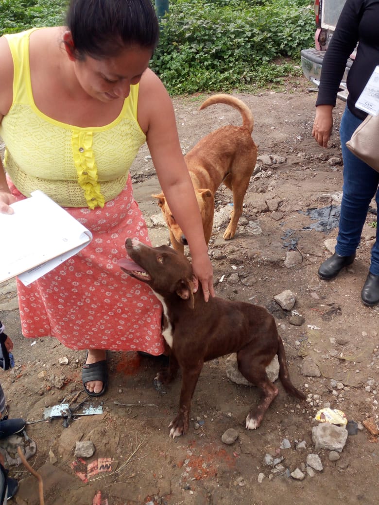 "El programa viene a mantener el control sobre la fauna canina en el municipio".