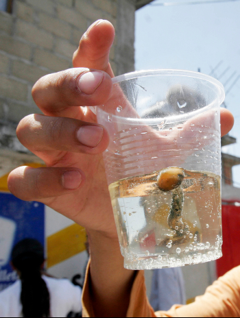 Tlanixco se ha convertirlo en uno de los lugares predilectos para la exploración y el consumo de hongos