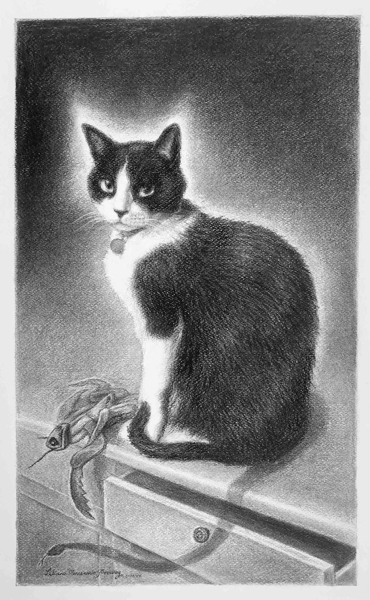 dibujo