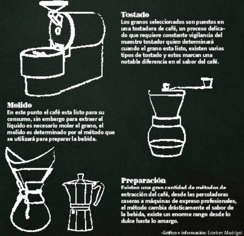 Con su pequeña finca agroecológica “Biodoni”, ha demostrado que en el Estado de México la producción del café también es una opción. | Mario Benítez