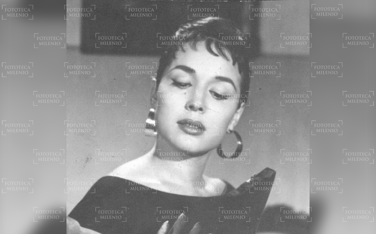 Flor Silvestre. (Fototeca Milenio).