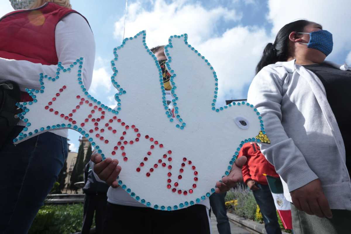 Los diputados tendrán un máximo de 30 días para que sea integrada. | Tania Contreras