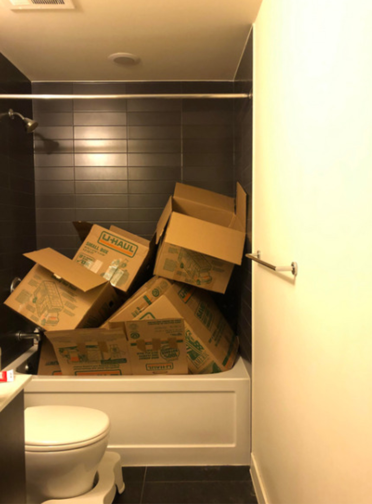 Encuentra al gato entre las cajas (Reddit).