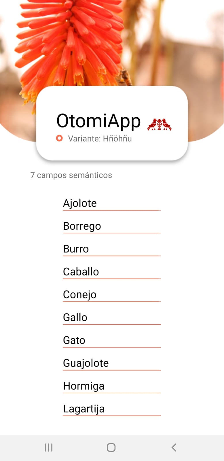 otomiapp