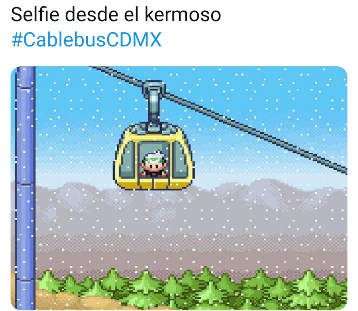memes
