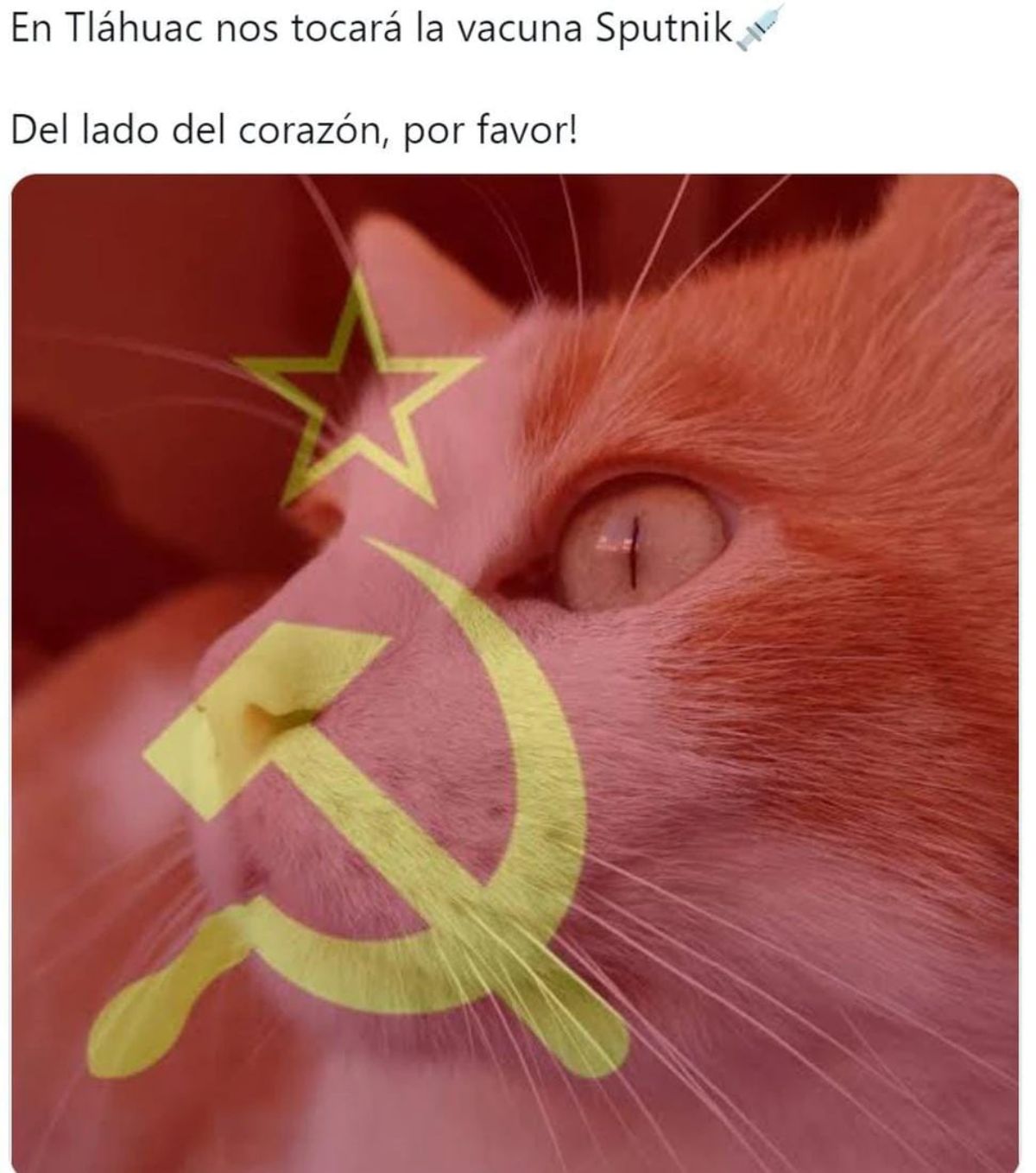 memes