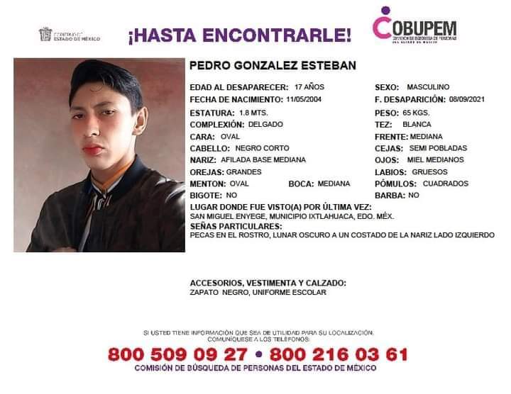 ficha de búsqueda