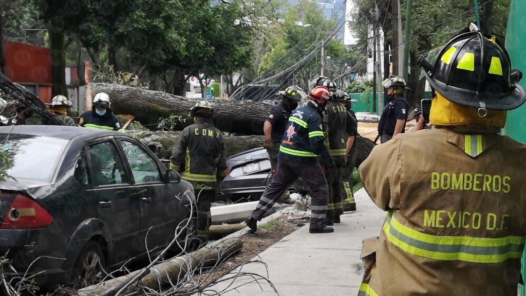 Bomberos acudieron al lugar para ayudar a retirar el tronco (Jorge Becerril)