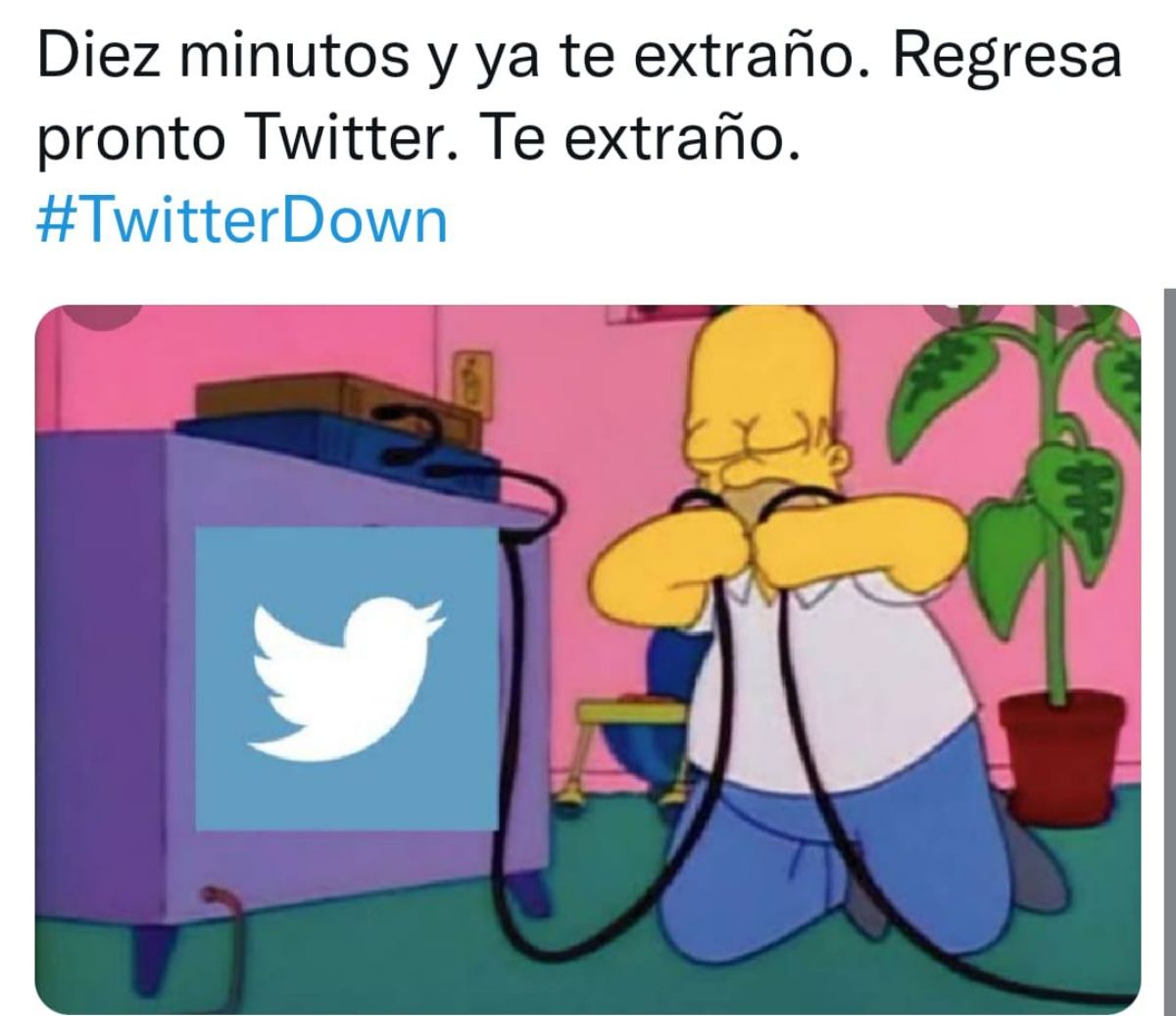 memes