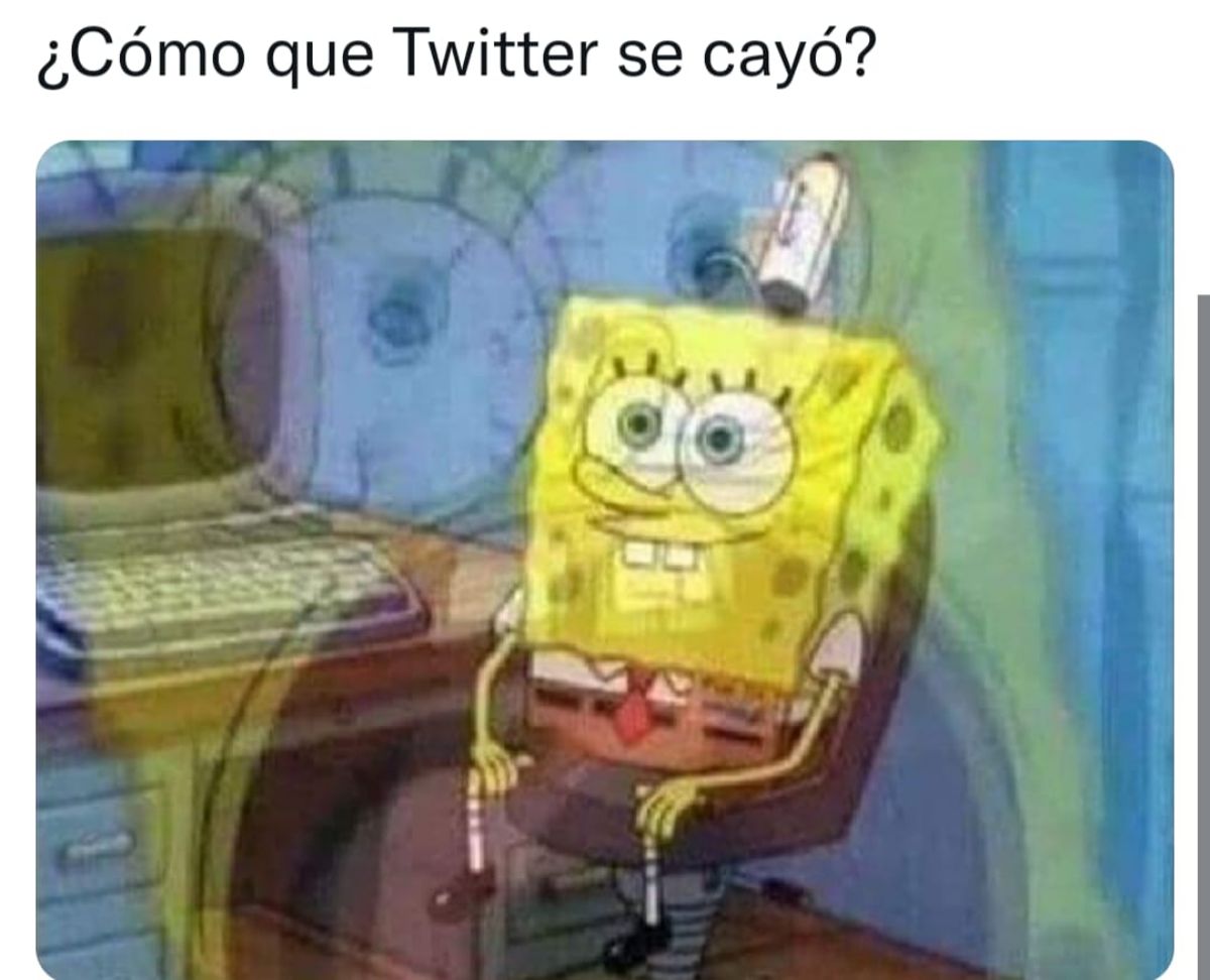 memes