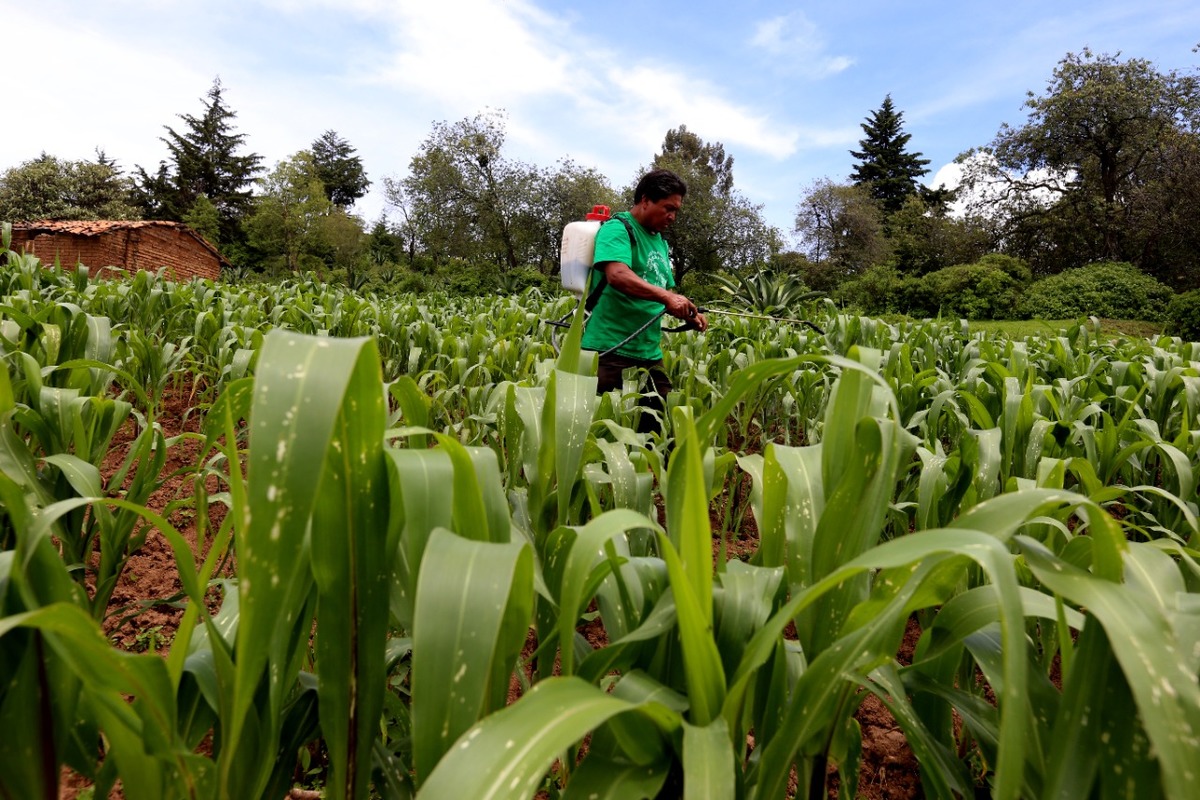 Agricultura.