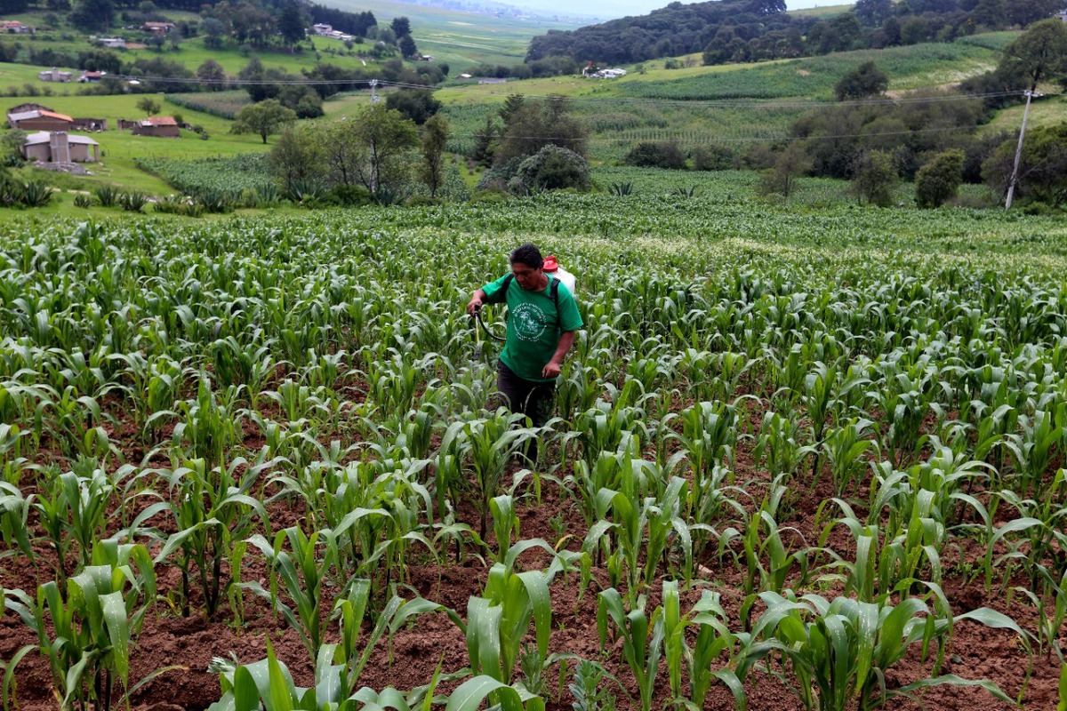Agricultura.