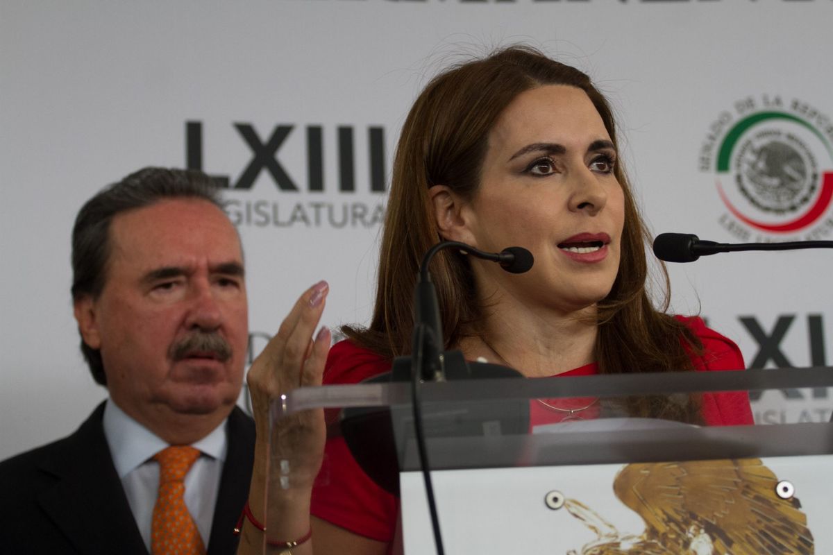 Diputada Carolina Viggiano