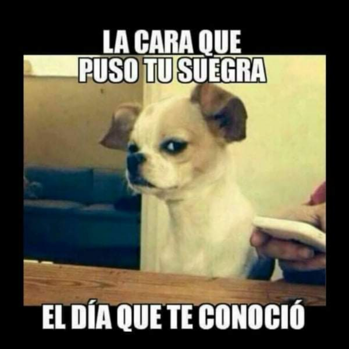 Memes