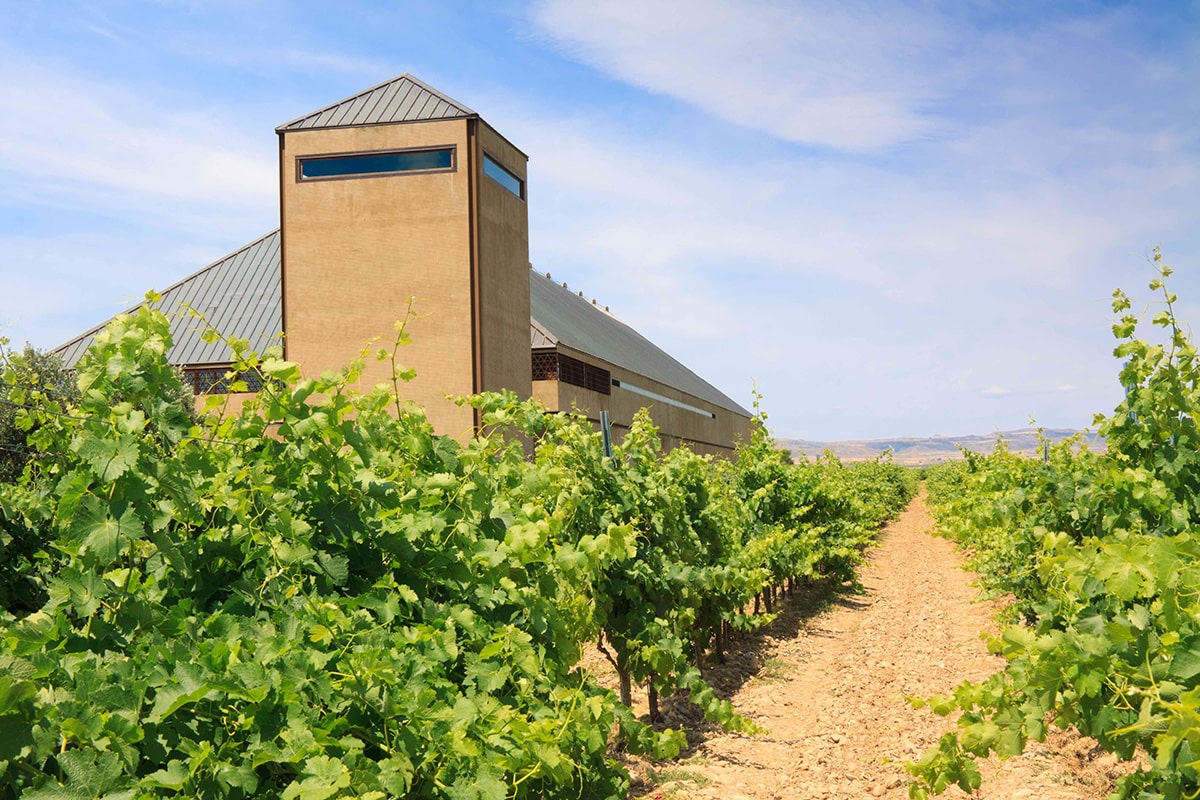 Finca Guelbenzu (Guelbenzu.com)