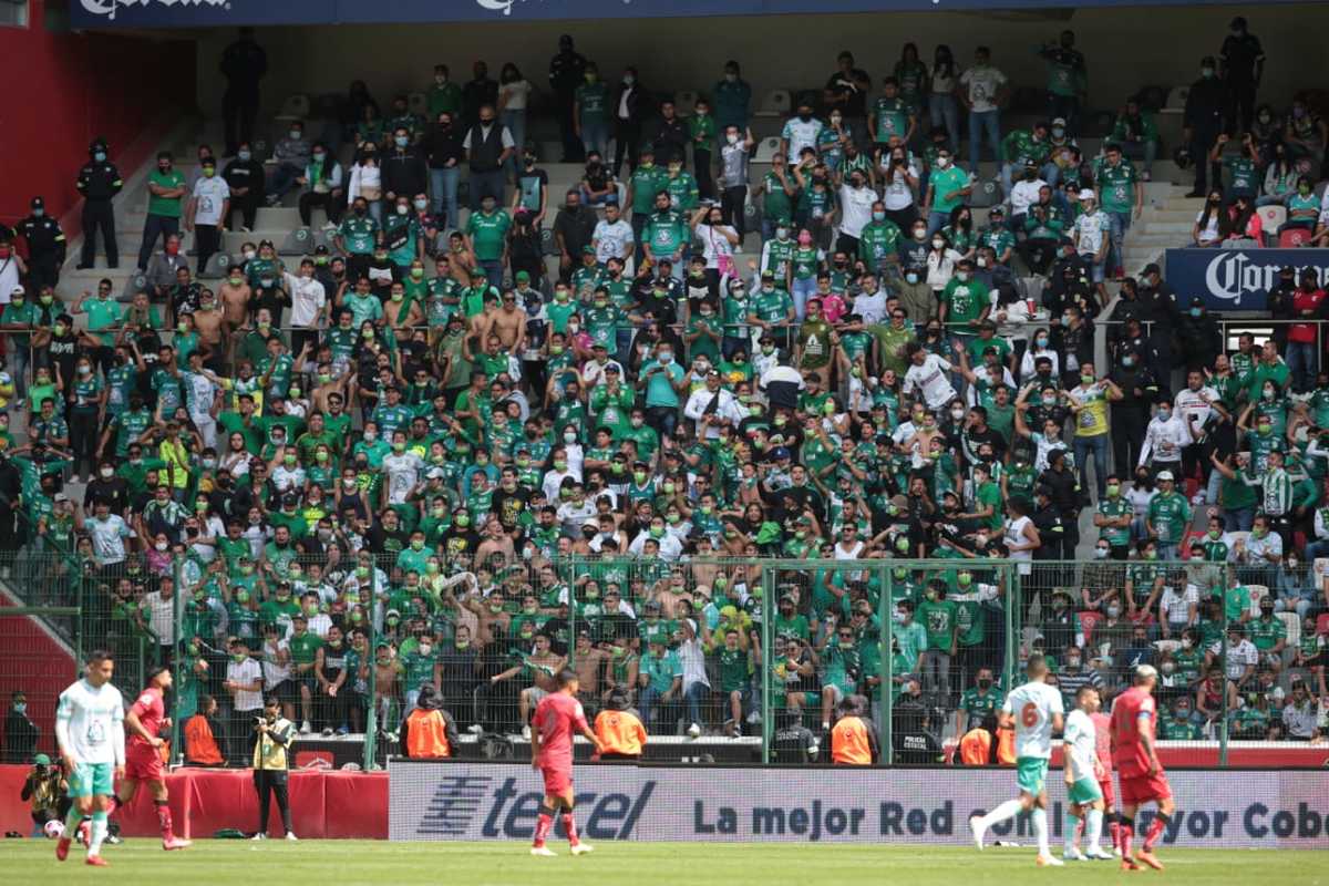 león