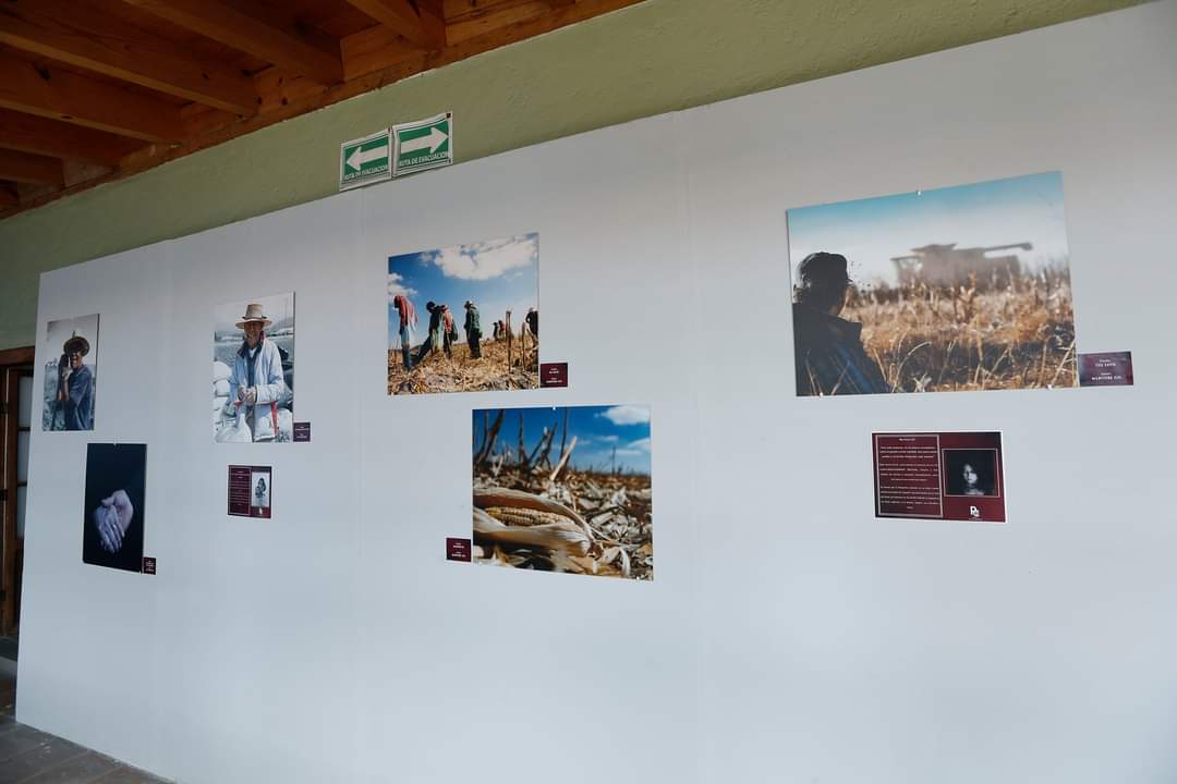 fotografía