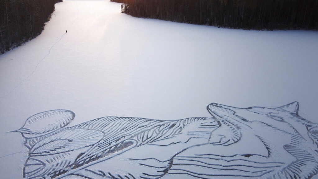 Lobo en hielo