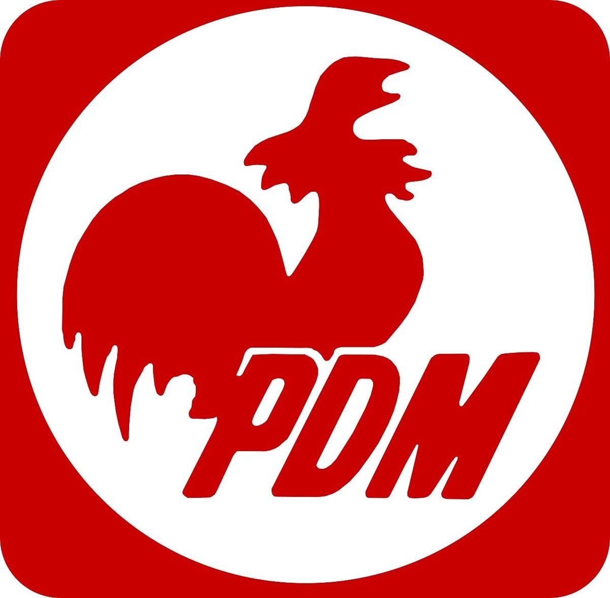 PDM