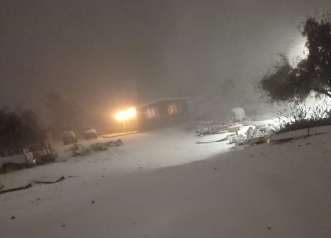 nieve